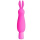 NEON LUV BUNNY ROSA