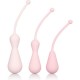 INSPIRE WEIGHTED KEGEL TRAINING KIT