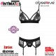 Wonderia · Seductor conjunto · Obsessive