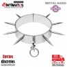 Slave Collars · Collar BDSM de acero con puntas · Metal Hard
