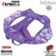 Crotchless panty thrill-her · Braguitas con bala vibradora · Fantasy For Her