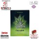 Oh! Holy Mary · Aceite estimulante con semilla de Cannabis Sativa · Nuei