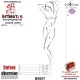 BS057 · Bodystocking sexy ·  Passion