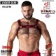 Look at harness · Arnés de malla elástica reforzada · Locker Gear rojo