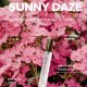 Sunny Daze - Feromonas que atraen a los hombres ♂ · Eye of Love